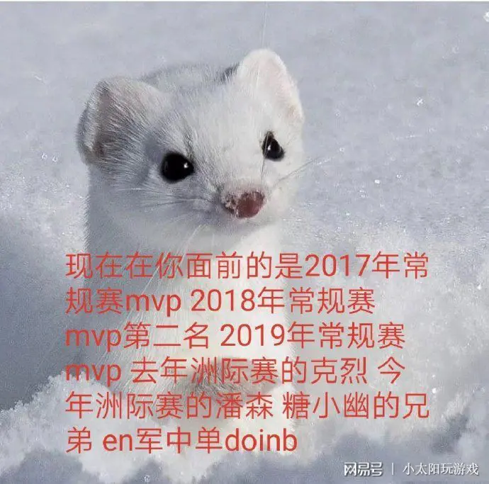 Doinb新星出色发挥表现突出，掘金前途光明！的简单介绍