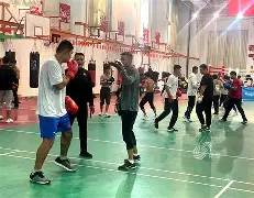  拳击季后赛，蓬莱铁骑队与塞外海豚队读秒扳平，体能对抗拉满！复盘值得玩味